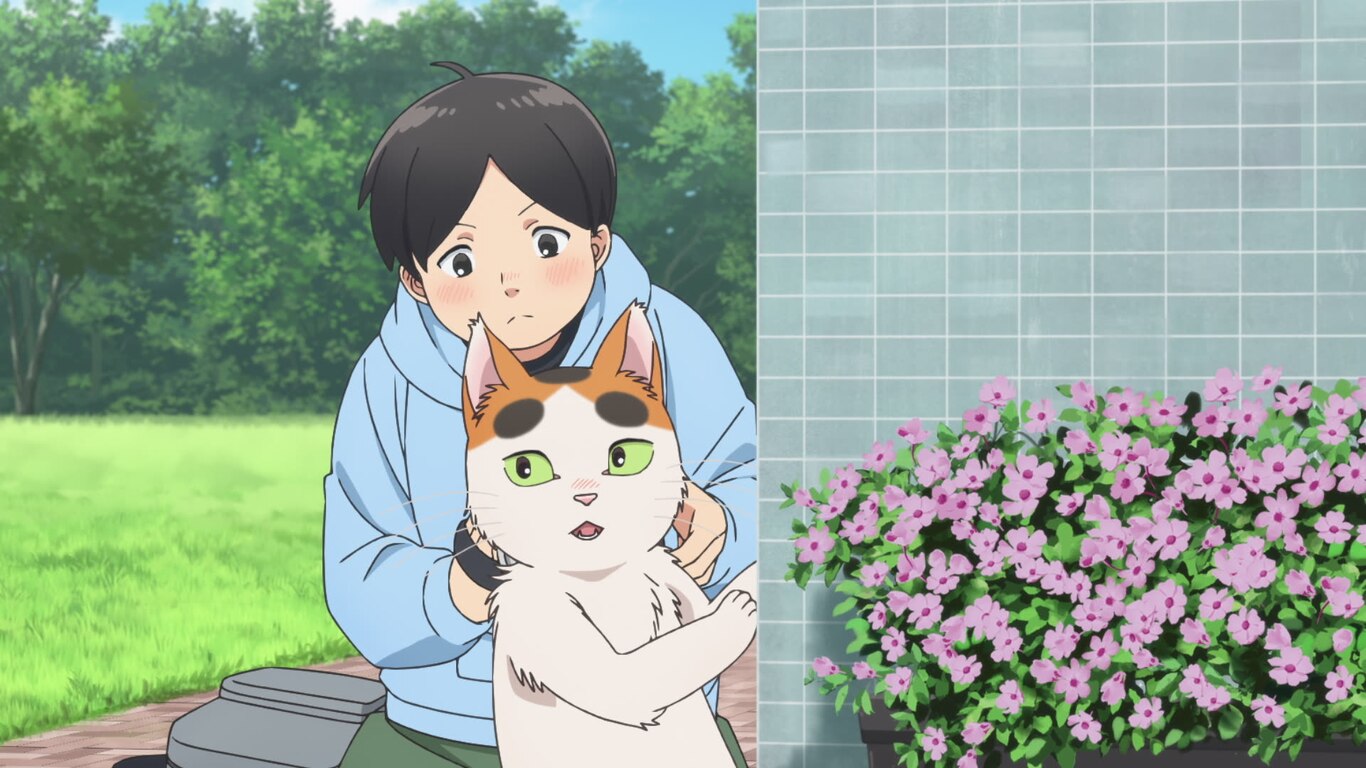 Episode 11