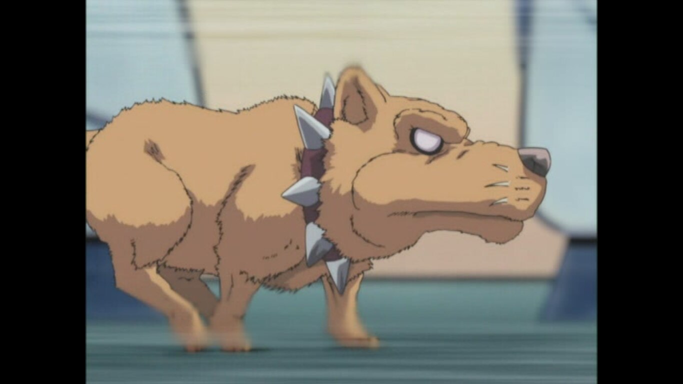 Take Back Cerberus!
