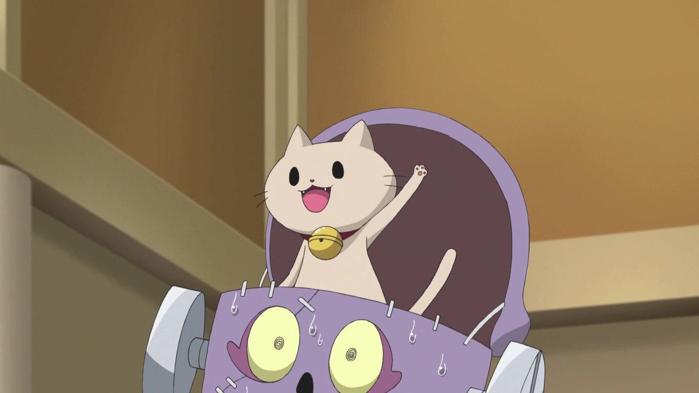 Meow Meow! Meow meow, meow meow!