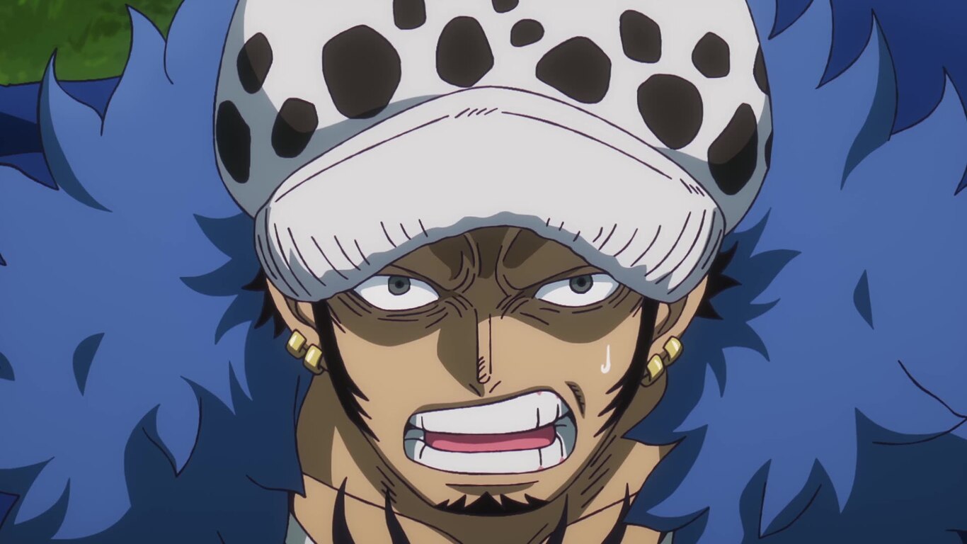 The Winner Takes All! Law vs. Blackbeard!