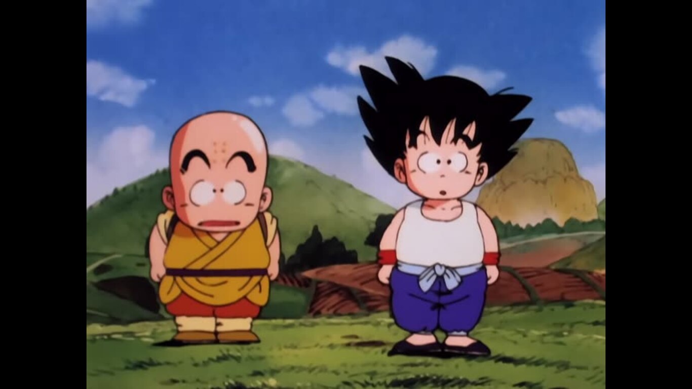 The Turtle Hermit Way