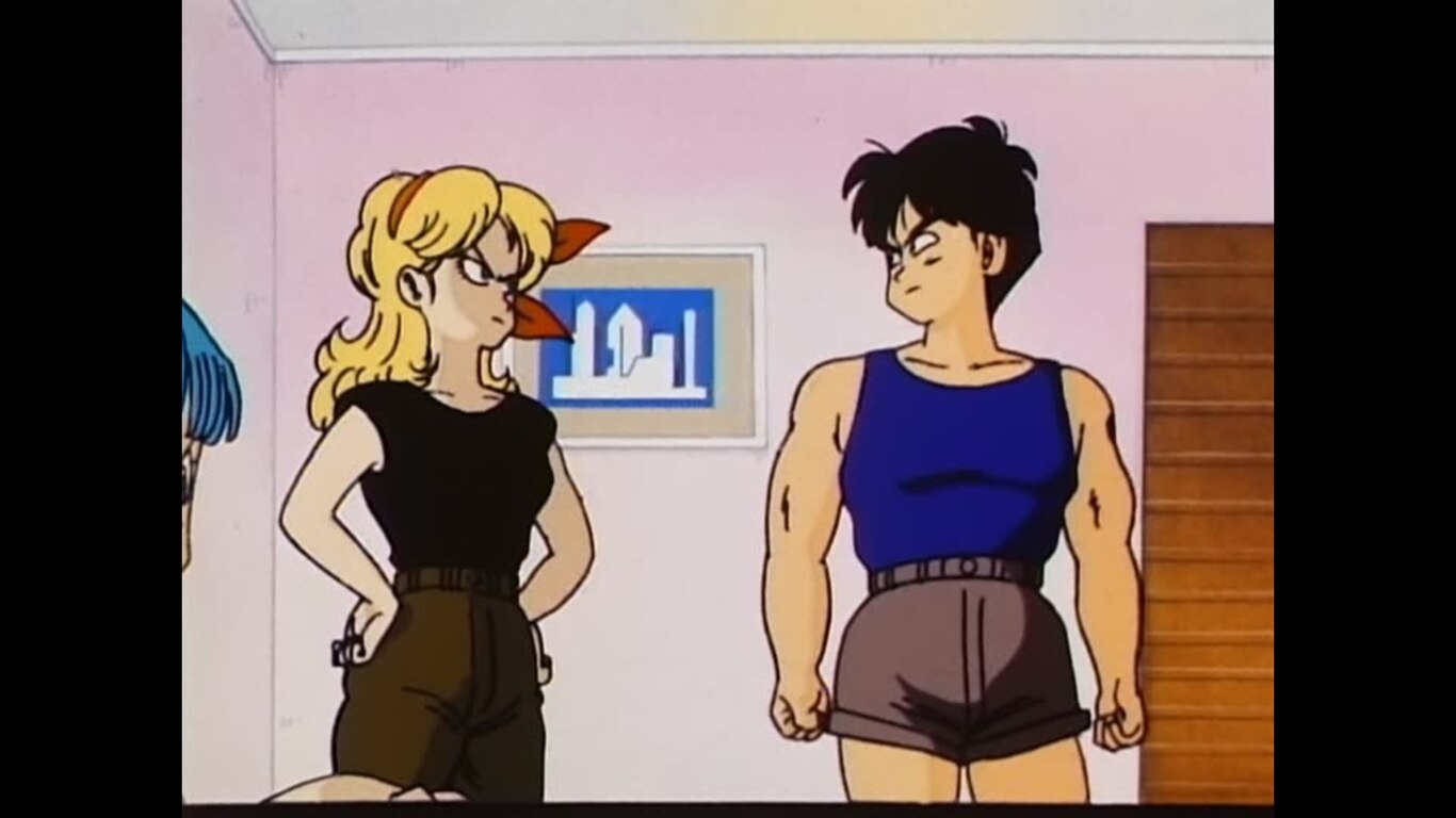 King Piccolo's Wish