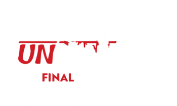 Undekhi
