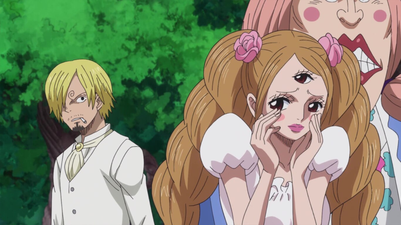 Save the Sunny! Fighting Bravely! Chopper and Brook!