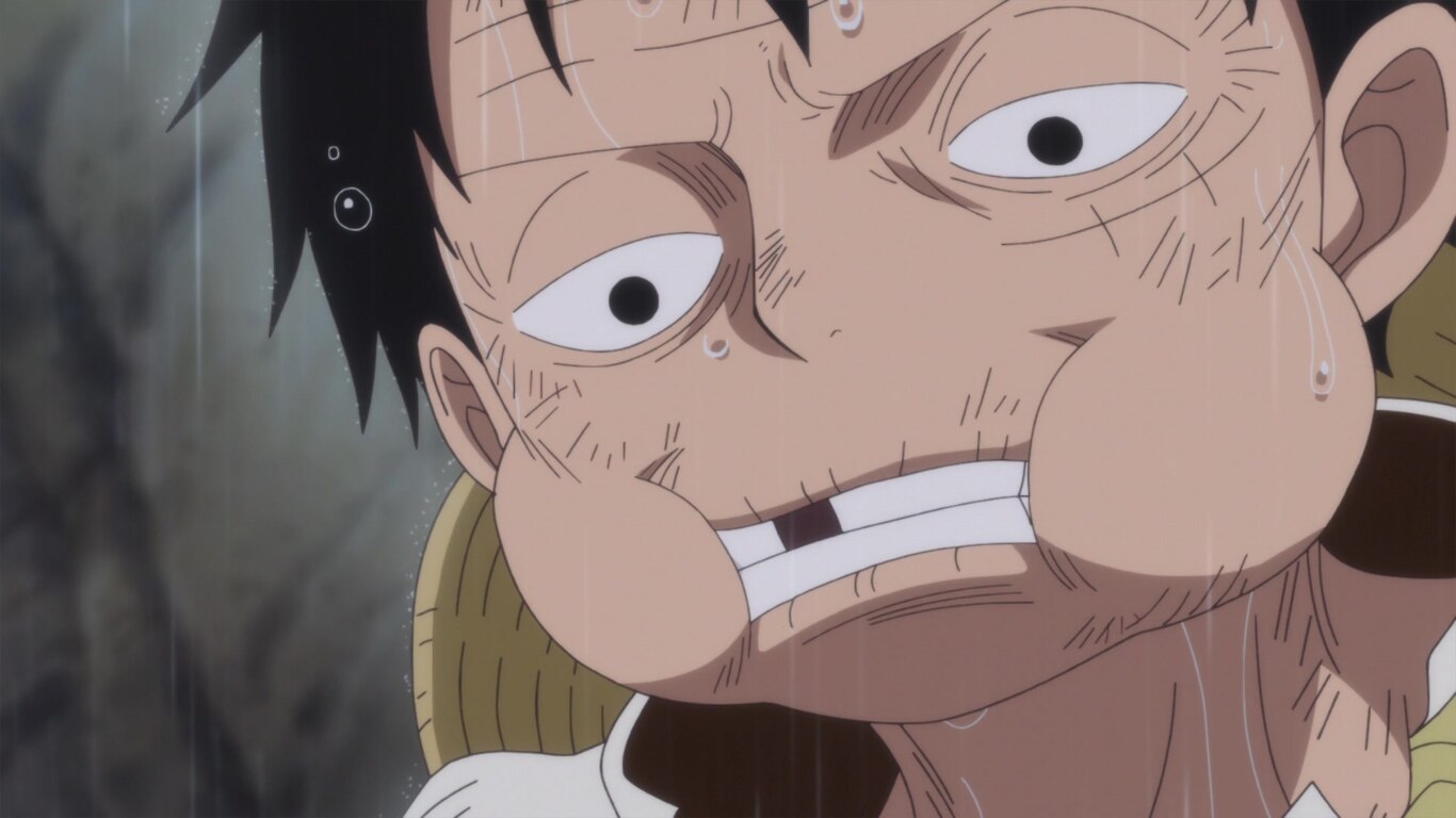 A Liar! Luffy and Sanji!