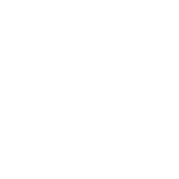 Saving Silverman