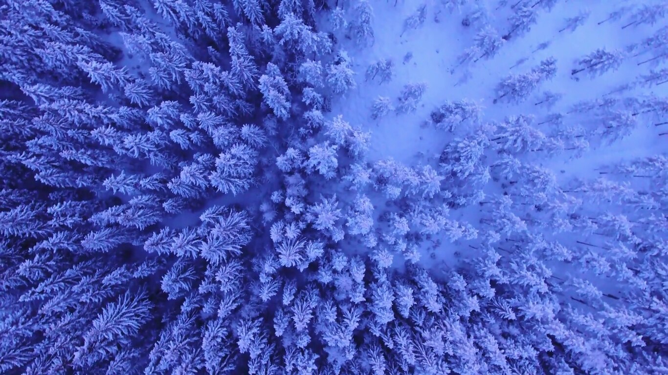E00354420A00354421