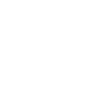 Mr. Deeds