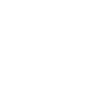 Salute (Hindi)