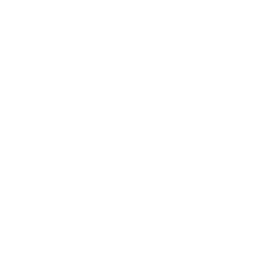 Salute (Hindi)