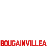 Bougainvillea (Hindi)