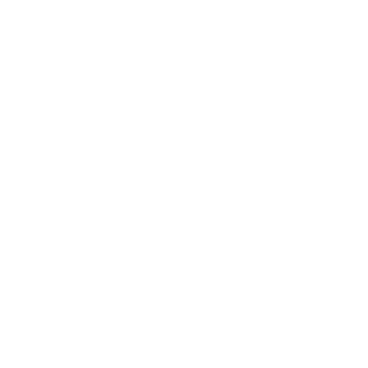 Solo Leveling