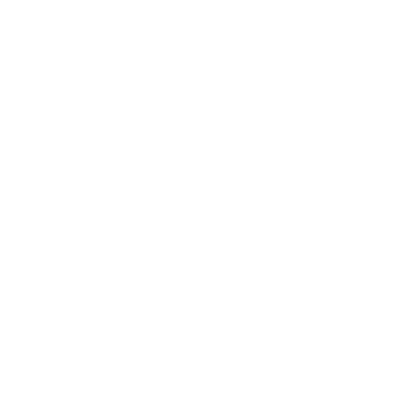 The Defective