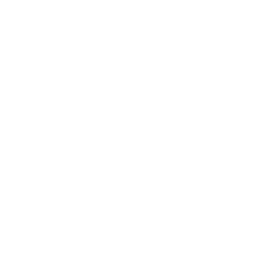 Fairy Musketeers
