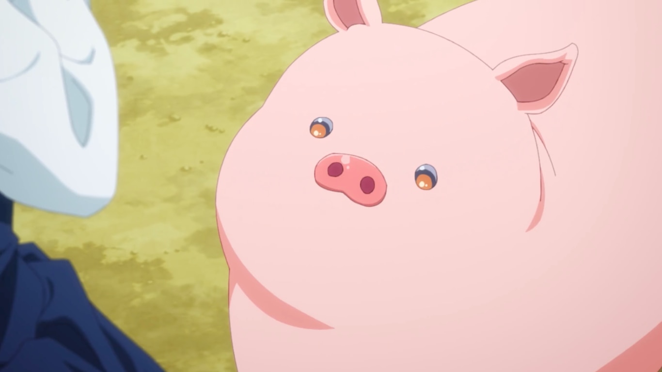 Butareba -The Story of a Man Turned into a Pig-