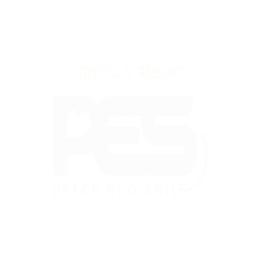 PES: Peace Eco Smile