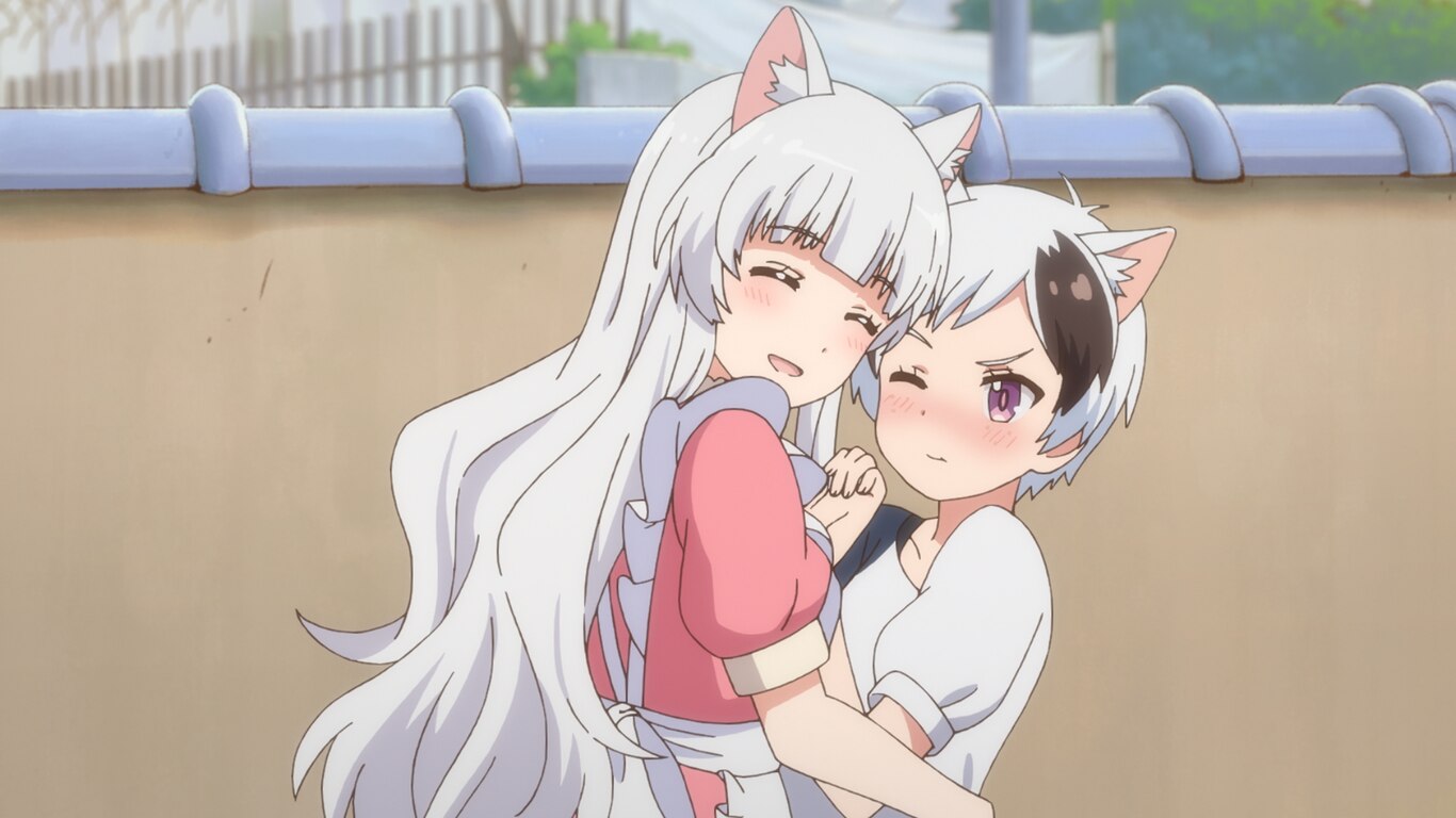 Uchitama?! Have you seen my Tama?