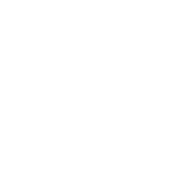 Black Butler
