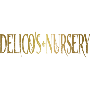 Delico's Nursery