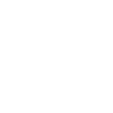Revenger