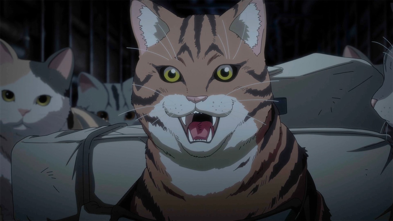 Nyaight of the Living Cat