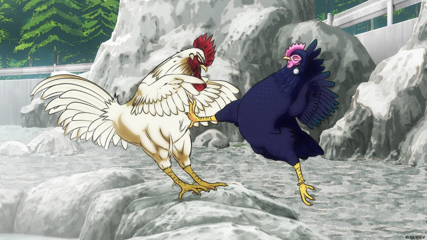 Rooster Fighter