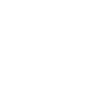 Bundesliga 2023-24