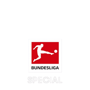 Bundesliga 2023-24