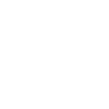Bundesliga 2024-25