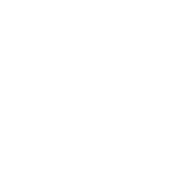 Confidential Assignment 2 (Korean)