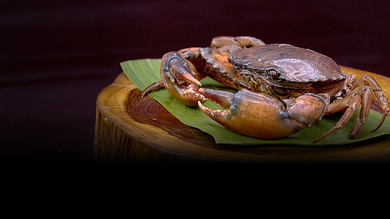 MasterChef India - Telugu