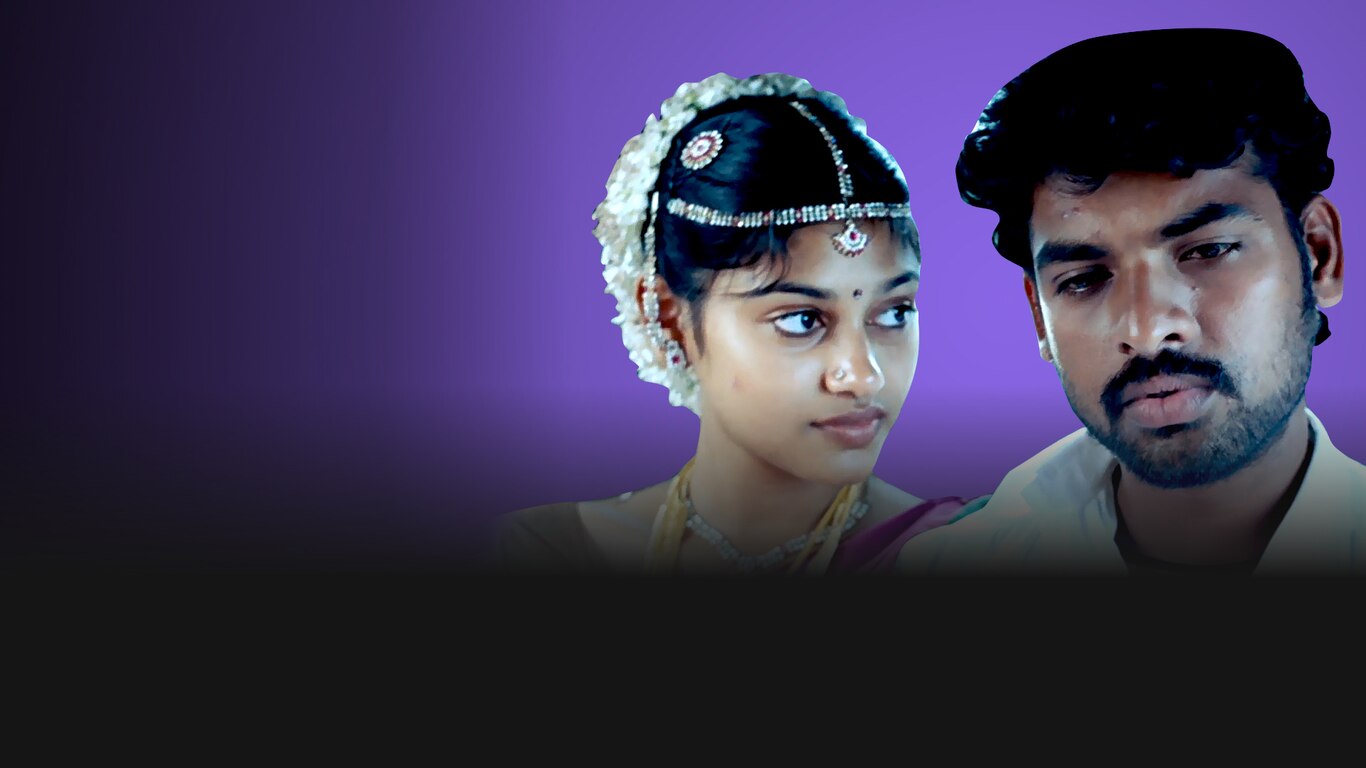 Dil Ka Raja (Hindi)