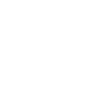 England Tour of New Zealand 2024
