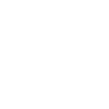 The Forest (2016)