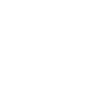 Freedom Fight (Kannada)