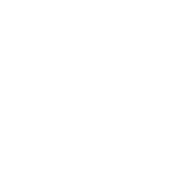 Freedom Fight (Hindi)