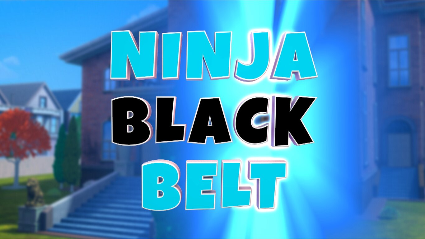 Ninja Black Belt