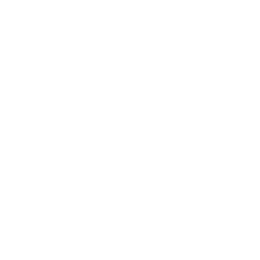 Hidden India