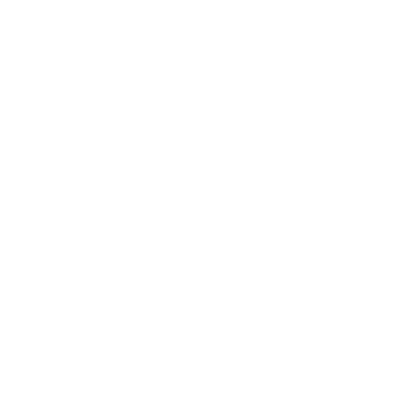 Legend The Terror (Hindi)