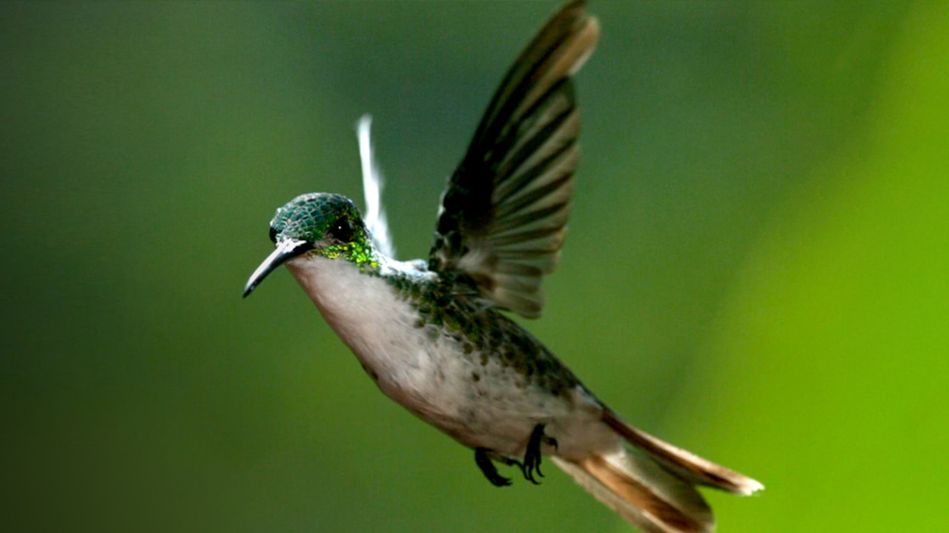 Life In The Air