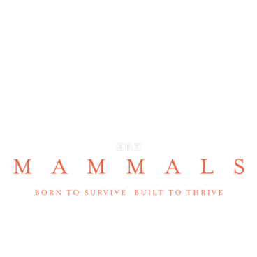 Mammals