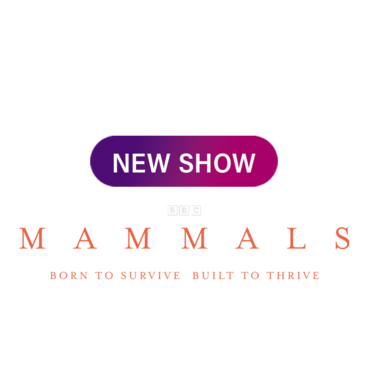 Mammals
