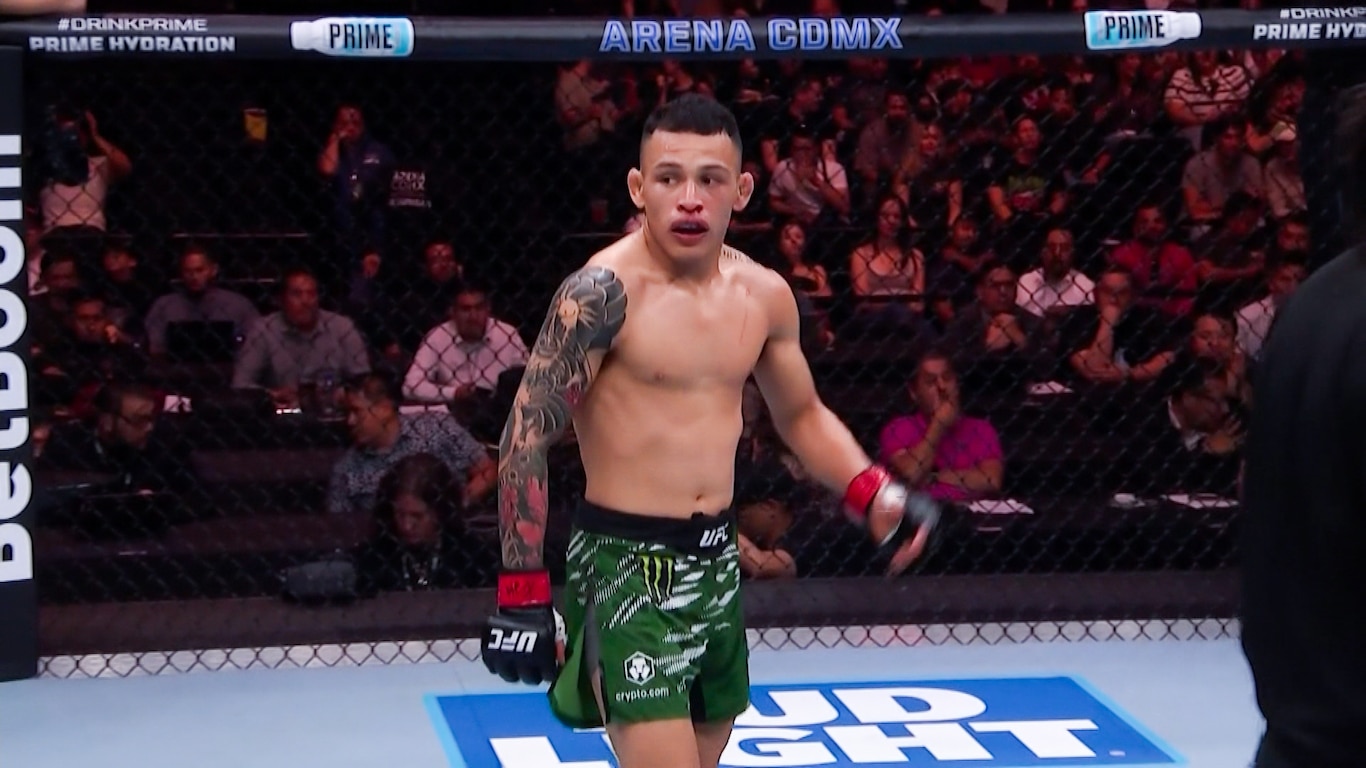 UFC Fight Night - Moreno vs Erceg