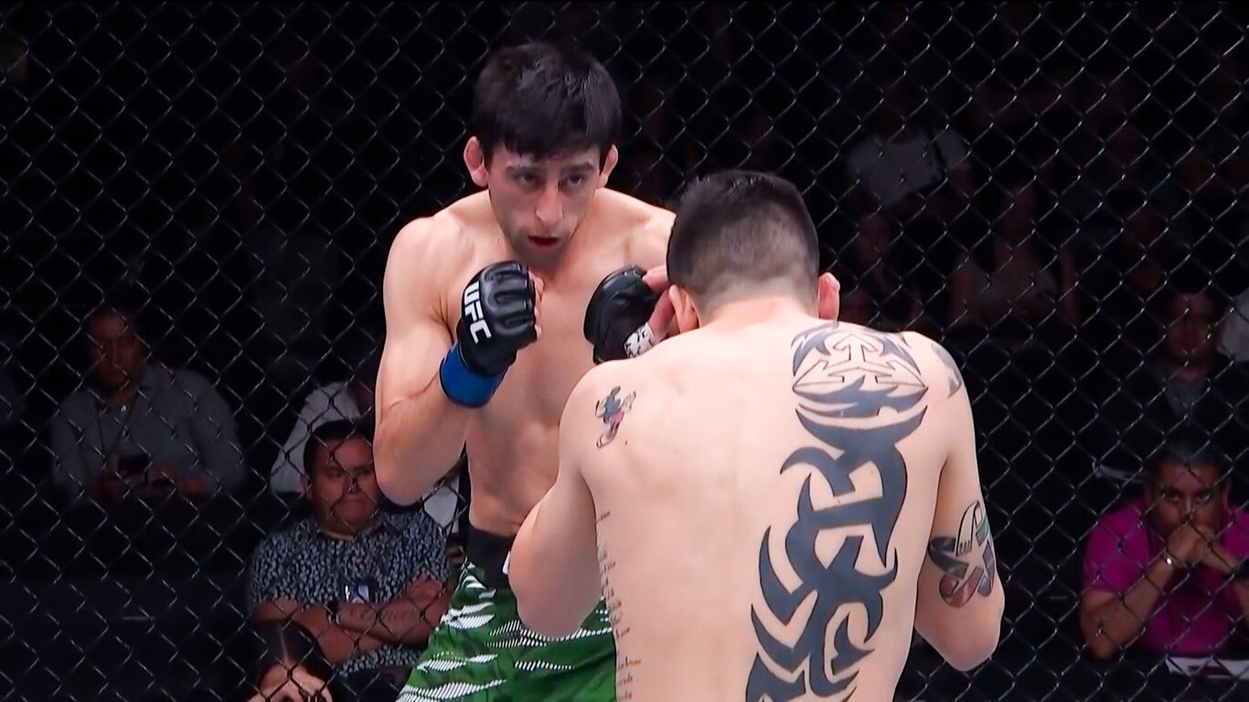 UFC Fight Night - Moreno vs Erceg