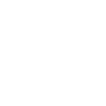 UEFA Champions League 2024-25