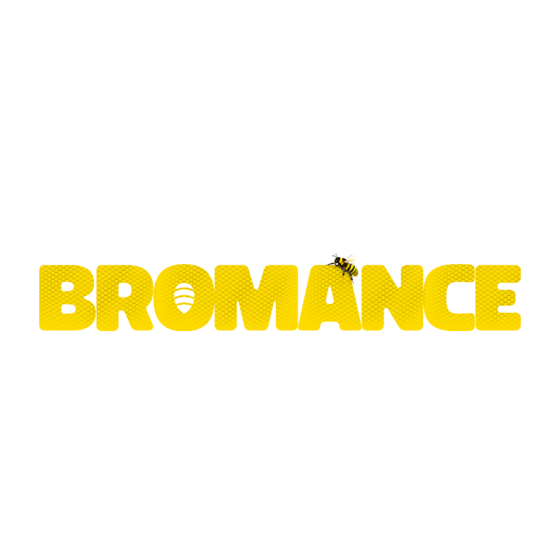 Bromance (Hindi) logo