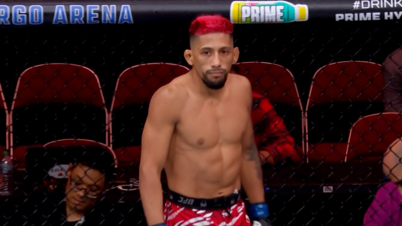 UFC Fight Night - Sandhagen vs Figueiredo