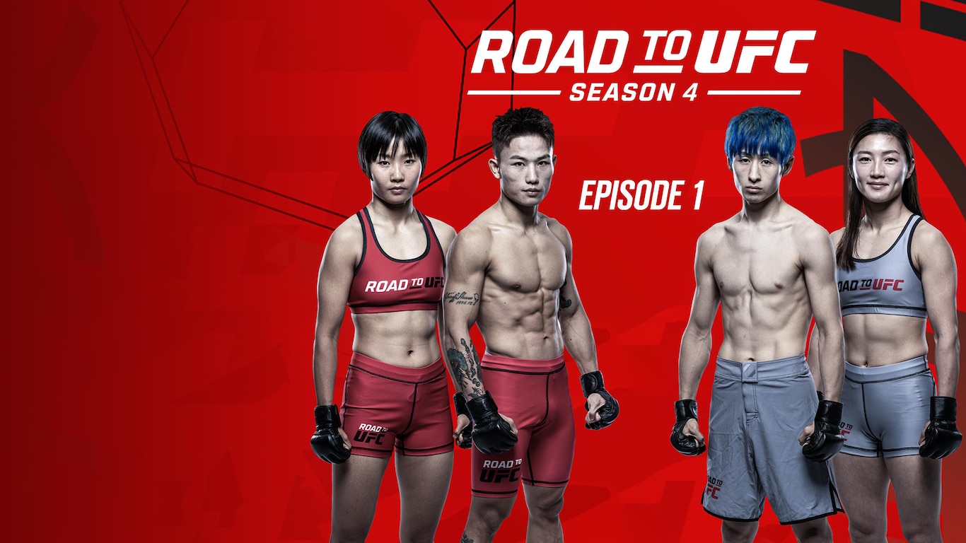 Road to UFC