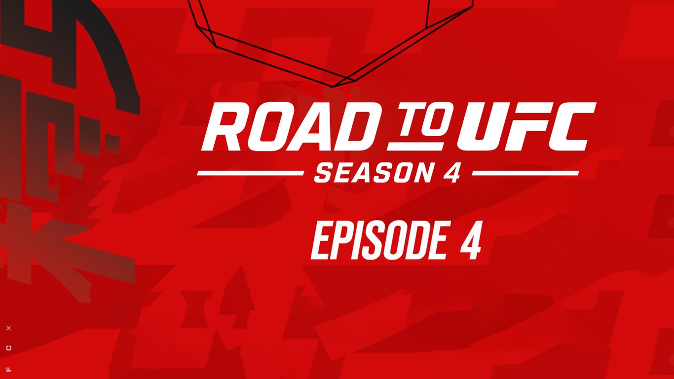 Road to UFC