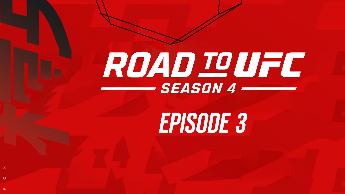 Road to UFC